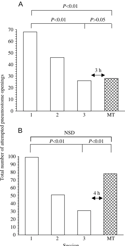 Fig. 1. The intermediate-term memory (ITM) training procedureresults in learning and a memory that persists for 3h but not for 4h.(A) A cohort of 20 naïve snails received three 15min operantconditioning training sessions, with each training session separat