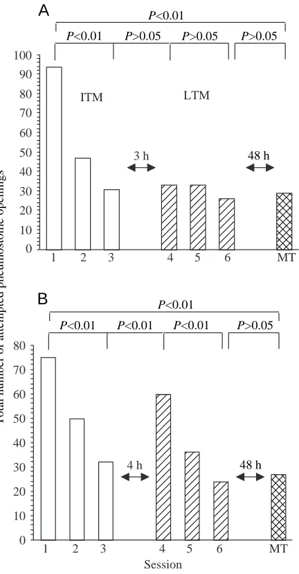 Fig. 2. The long-term memory (LTM) training procedure results inlearning and memory that persists for 48h but not for 72h