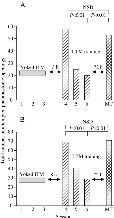 Fig. 5. Yoked controls do not show augmentation of long-termmemory (LTM) retention. (A) A cohort of 15 naïve snails receivedthree yoked control intermediate-term memory (ITM) trainingsessions