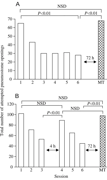 Fig. 6. Extinction training following intermediate-term memory(ITM) training prevents the augmentation of memory retention.after the last LTM training session