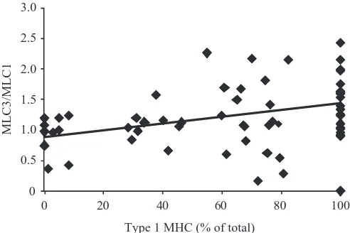 Fig. 8. The MLC3/MLC1 ratio increased in proportion to thepercentage of type 1 MHC in individual 1mm segments along theof type 1 MHC for all segments from each of the 10 single ﬁbresshown in Fig