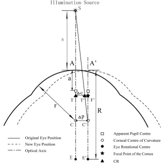 Figure 52. Eye before (solid) and after (dashed) a translational eye movement when the illumination source is close to the eye