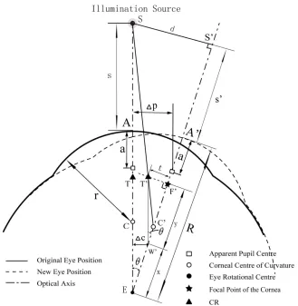 Figure 54. Eye before (solid) and after (dashed) a rotational eye movement when the illumination source is close to the eye