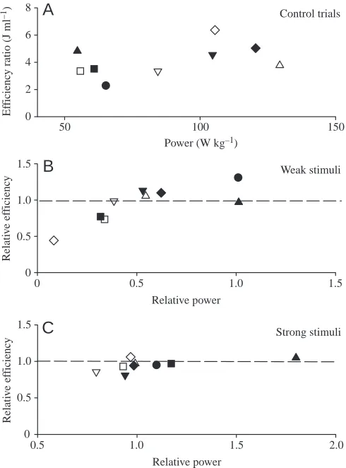 Fig. 4. (A) Efficiency ratio (=work done/extra CO2muscle) during the control trials for the experiments investigating theeffects of varying stimulus intensity