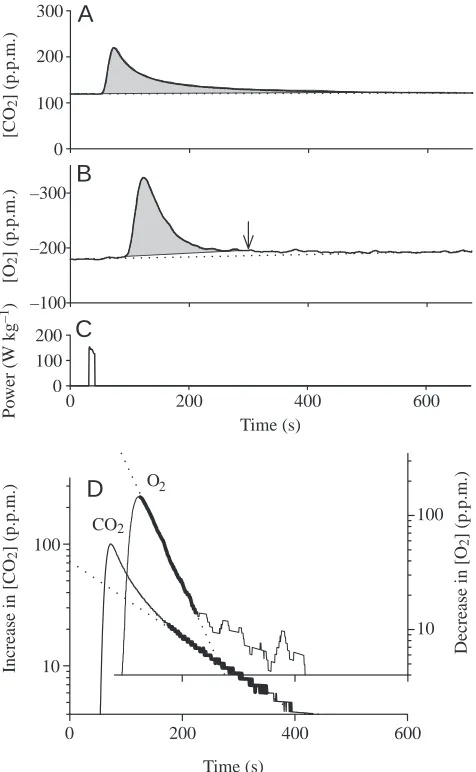 Fig. 2. CO2mechanical work. (A) Increase in the COand the extra Ocalculated baseline (shaded portion of A)