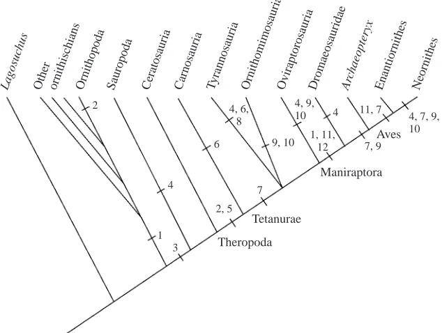 Fig. 5. Phylogeny of dinosaurs (Gauthier, 1986; Sereno, 1999; Holtz, 2000) showingthe distribution of characters that are likely to have decreased rotational inertia