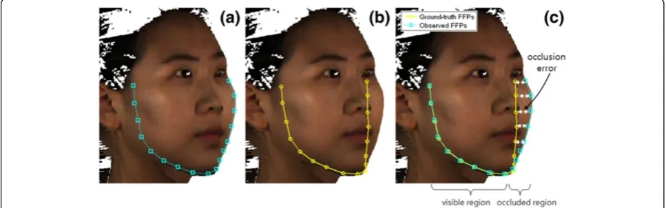 Figure 1 Self-occlusion errors found in the observed 2D FFPs: (a) the observed 2D FFPs on the facial contour; (b) the ground-truth 2D FFPson the facial contour; (c) self-occlusion error caused by difference between the observed 2D FFPs and the ground-truth 2D FFPs.