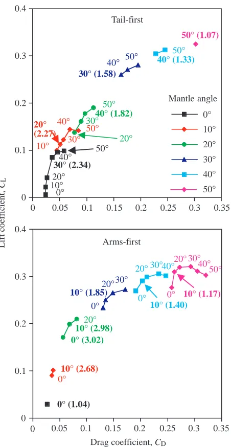 Fig. 7. Polar diagrams of drag (Ccalculated from squid models (with ﬁns) oriented tail-ﬁrst and arms-ﬁrst relative to the free-stream ﬂow