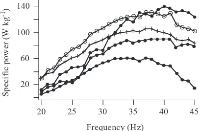 Fig. 12. Representative traces of speciﬁc power output over integercontraction frequencies between 20 and 45Hz for ﬁve basalar musclepreparations.