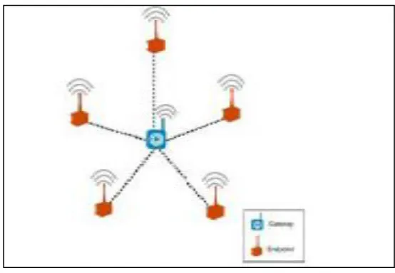 Figure 2.2: Star Topology 