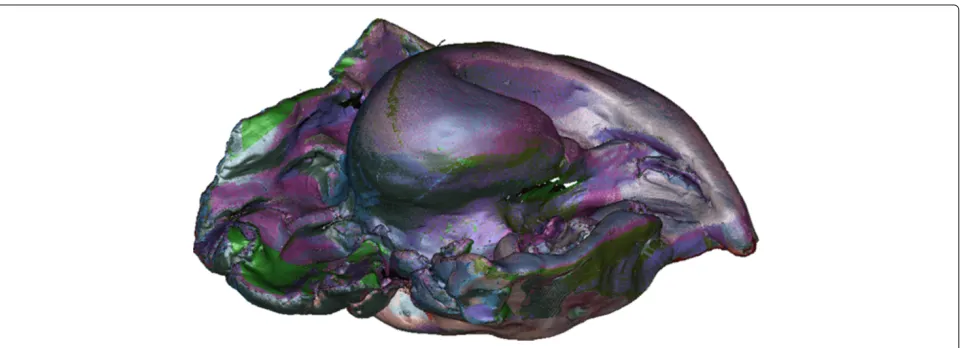 Figure 1 A set of scrambled views composing the Dolphin object prior coarse alignment application.