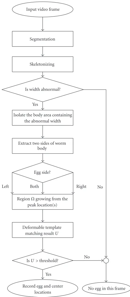 Figure 1: Flowchart of the egg detection process.