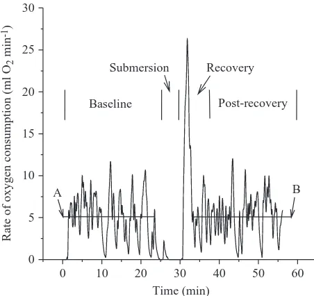Fig. 2. Sample single-dive MR (rate of oxygen uptake) calculationusing a 5min dive trial with M1