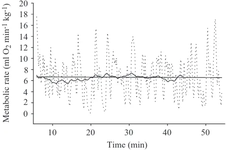 Fig. 4. An example of how the measurement period affects variationin oxygen consumption measurements in sea lions