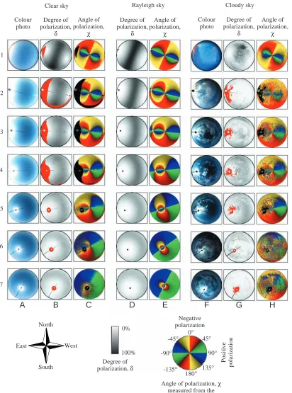Fig. 1. (A-C) Spatial distribution of brightness and colour, degree of polarization δ and angle of polarization χ (measured from the localmeridian passing through the observed celestial point) over the entire clear sky measured by full-sky imaging polarime