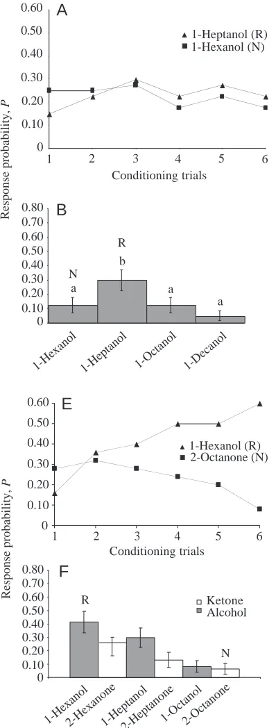 Fig. 3. Acquisition curves and test-phase responseprobabilities P by odour, for the differential conditioningexperiments