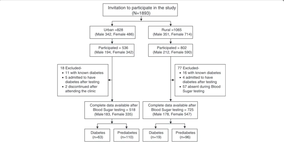 Fig. 1 Study partcipation flow chart