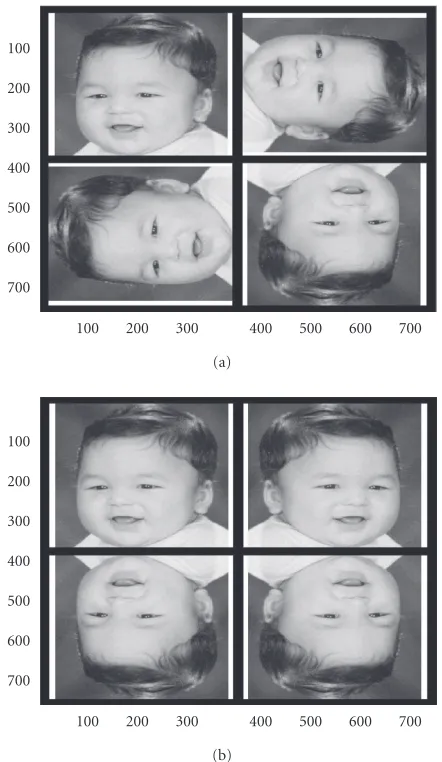 Figure 1: Image conversion from nonsymmetric to symmetric one.