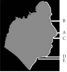 Figure 10: Typical proﬁle function. Nose tip (A), nose bridge top(B), under-nose point (C), chin point (D), and neck top point (E)are marked.
