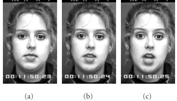 Figure 4: Three consecutive frames at 30 fps show that facial featuremotions are rapid.