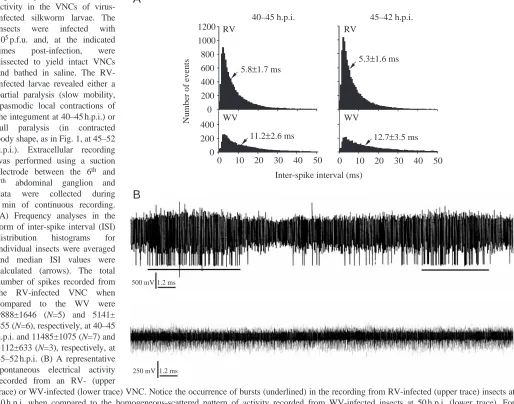 Fig. 5.activity in the VNCs of virus-