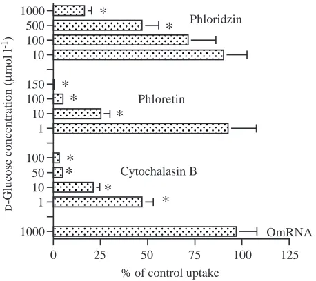 Table 1. Effect of sugars on OnmyGLUT1-mRNA-injected D-glucose uptake inXenopus laevis oocytes