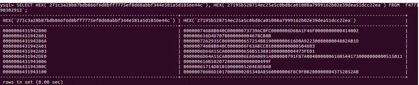 Figure 4.4: An example of data stored in it’s encrypted format.