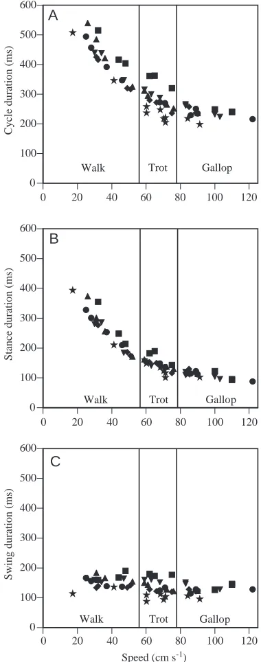 Fig. 1. Effects of speed on cycle (A), stance (B) and swing (C)duration during rat locomotion