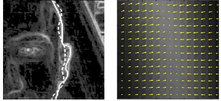 Figure 9: (a) The initial (dashed) and ﬁnal (solid line) position ofthe contour, and (b) zoom on the attraction force ﬁeld F.