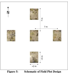 Figure 5: Schematic of Field Plot Design 