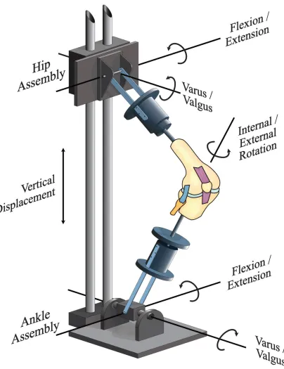 Figure 7. The Oxford knee rig. A 6-DOF joint is made possible by allowing the hip assembly to move vertically relative to the ankle assembly, and by allowing specific rotations within the hip and ankle mechanism