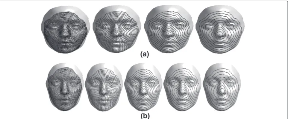 Figure 11 Discrete Contours Extraction: (a) Examples of multi-resolution contours. (b) spiral curves extracted from a facial surface.