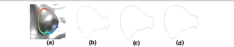 Figure 13 Two examples of facial surface reconstruction: (a) An original surface. (b) Its representation as a sequence of � contours