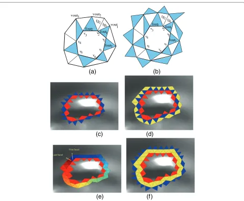 Figure 1 ORF ring construction:consecutiveFinmapping reﬂecting the circular arrangement of the facets