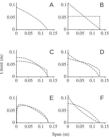 Fig. 2. Chord length distributions of theoretical wings and a ratﬁshpectoral ﬁn. (A) Chord length distribution of the pectoral ﬁn of thelength distributions generated with a ﬁrst-degree polynomial