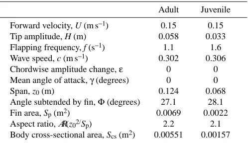 Table 1. Kinematic and morphological parameters of ratﬁsh