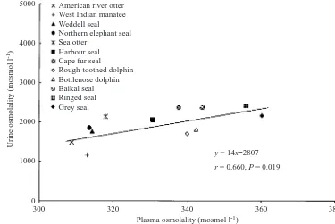 Fig. 1. Correlation between plasmaand urine osmolality for variousmarine mammals. The freshwaterspecies are the West Indianmanatee (Trichechus manatus),American river otter (Lutracanadensis) and Baikal seal(Phoca sibirica)