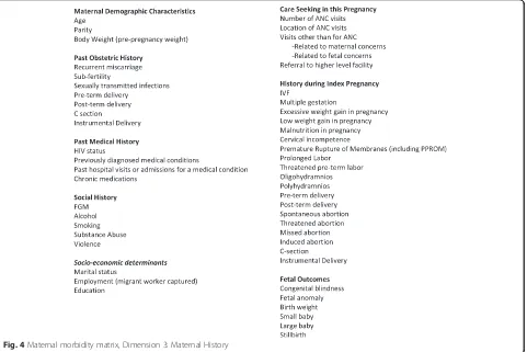 Table 1 Maternal morbidity draft tool components