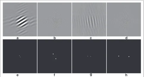 Figure 4 The examples of wave atoms.frequency responses. The corresponding labels are The ﬁrst row shows two wave atoms with diﬀerent directions and scales