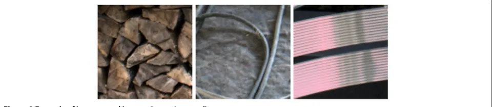 Figure 9 Example of images used in experiment (zoomed).