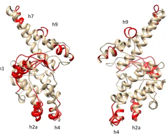 Figure S2. Modelled structural comparisons between IgM-binding and –non-binding DBL domains 
