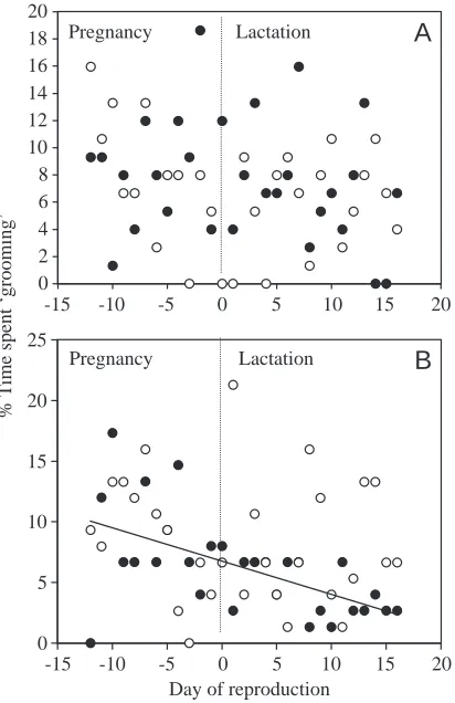 Fig. 4. Changes in ‘grooming’ behaviour of mice fed the low-energydiet (A) from early pregnancy (N=15) and (B) from parturition(N=13)