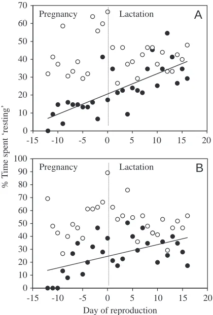 Fig. 6. Changes in the ‘resting’ behaviour of mice fed the low-energydiet (A) from early pregnancy (N=15) and (B) from parturition(N=13)