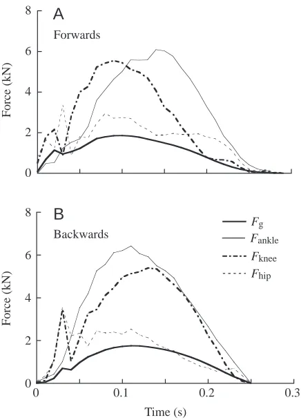 Fig. 6. The difference in mass-speciﬁc metabolic rate (Ebetween 100(backwardand predicted (ﬁlled column) from the product of estimated rates ofground force application (1/force, ˙metab/Wb)backward and forward running [%difference=−forward)/backward], both 