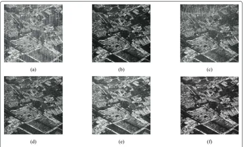 Figure 6b is considered as the optical reference image.