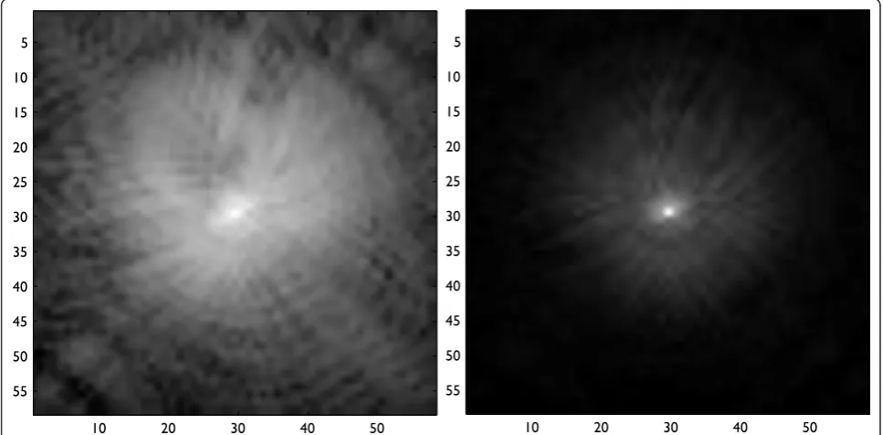 Figure 1 Examples of estimated PSFs in detector chip 1 of Wide Field Camera (Hubble Spatial Telescope)