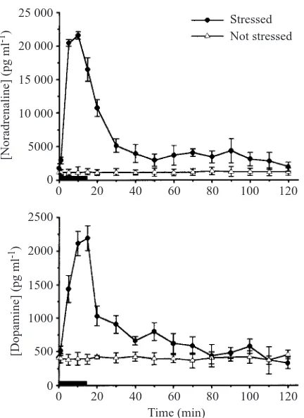 Fig. 1. Effects of a 15min mechanical stress on circulating levels ofnoradrenaline and dopamine in the oyster black bar indicates the duration of the stress