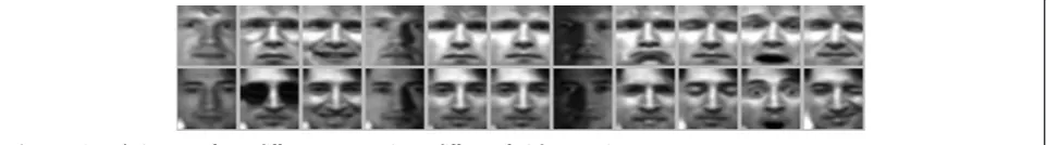 Figure 3 Sample images of two different persons in 11 different facial expressions.