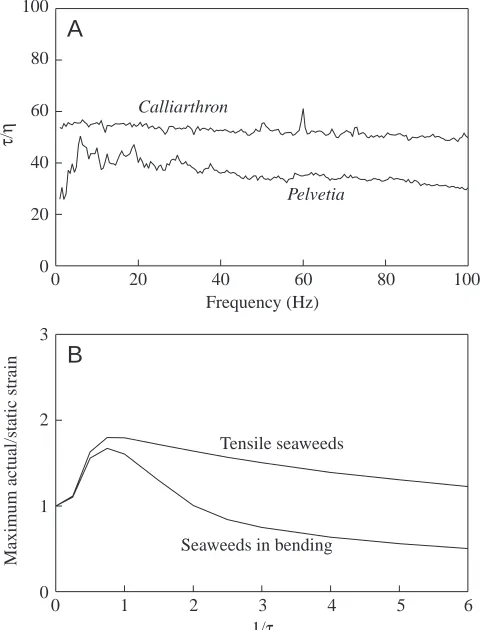 Fig. 13. Dynamic properties of macroalgae. (A) The ratio ofnondimensional pulse period, τ, to nondimensional damping, η