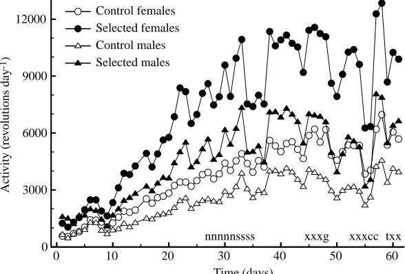 Fig. 1. Wheel-running activity of the house mice used inthe study. The mice had access to wheels from weaning(21 days of age) to the end of the ﬁrst feeding trial (seeMaterials and methods)